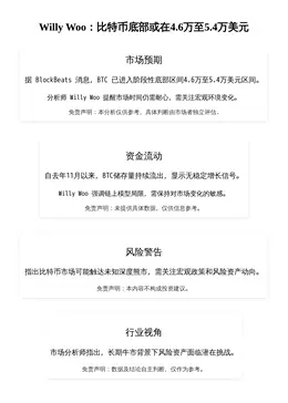 Willy Woo：比特币底部或在4.6万至5.4万美元