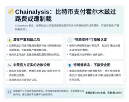 Chainalysis：比特币支付霍尔木兹过路费或遭制裁