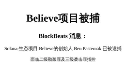 Believe项目被捕