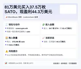 81万美元买入37.5万枚SATO，现盈利44.3万美元