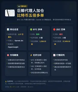 巨鲸代理人近一小时加仓比特币五倍多单