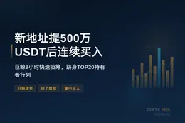新地址提500万USDT后连续买入