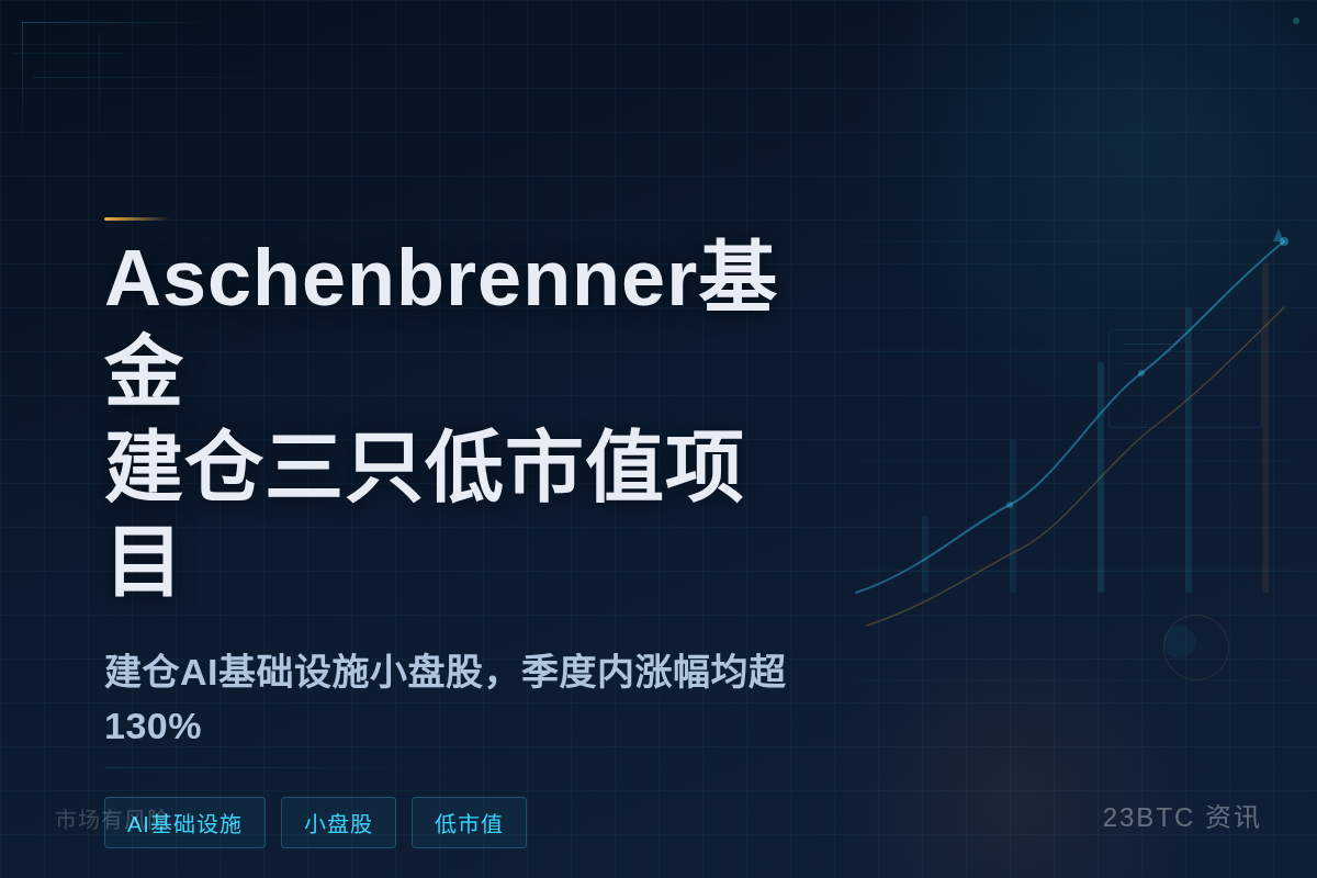 Aschenbrenner基金Q1仅建仓3只低市值项目