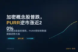 加密概念股普跌，PURR逆市涨近20%