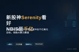 新股神Serenity看好NBIS至千亿