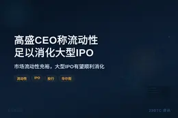 高盛CEO称流动性足以消化大型IPO
