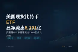 美国现货比特币ETF日净流出5.191亿