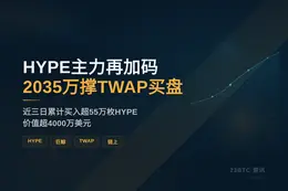 HYPE主力再加码2035万，撑TWAP三日买盘
