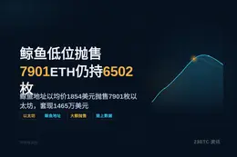 鲸鱼低位抛售7901ETH仍持6502枚