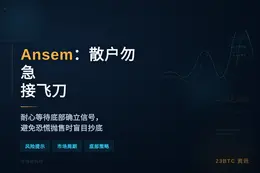 Ansem：散户勿急接飞刀，耐心等底部确立