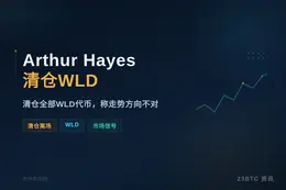 Arthur Hayes清仓WLD