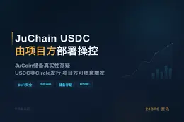 JuChain USDC由项目方部署操控
