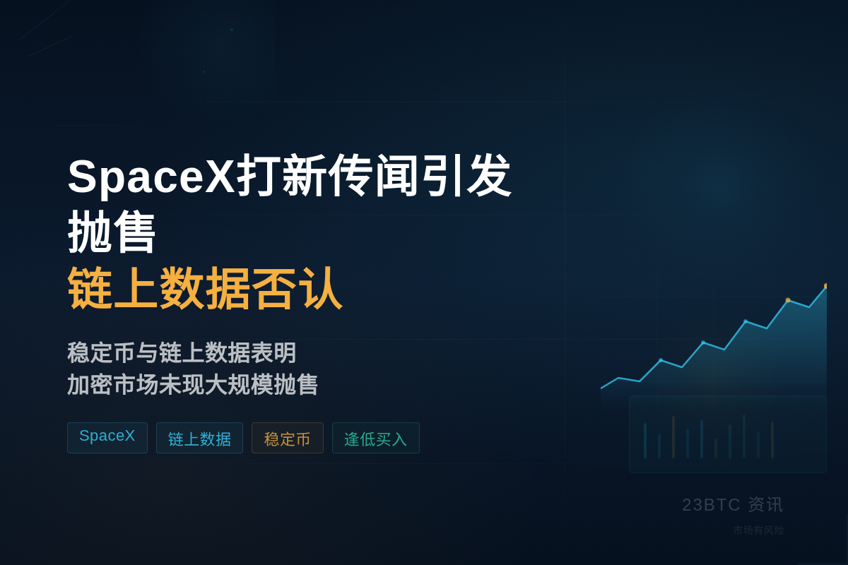 SpaceX打新传闻引发抛售 链上数据否认插图1 SpaceX打新传闻引发抛售 链上数据否认