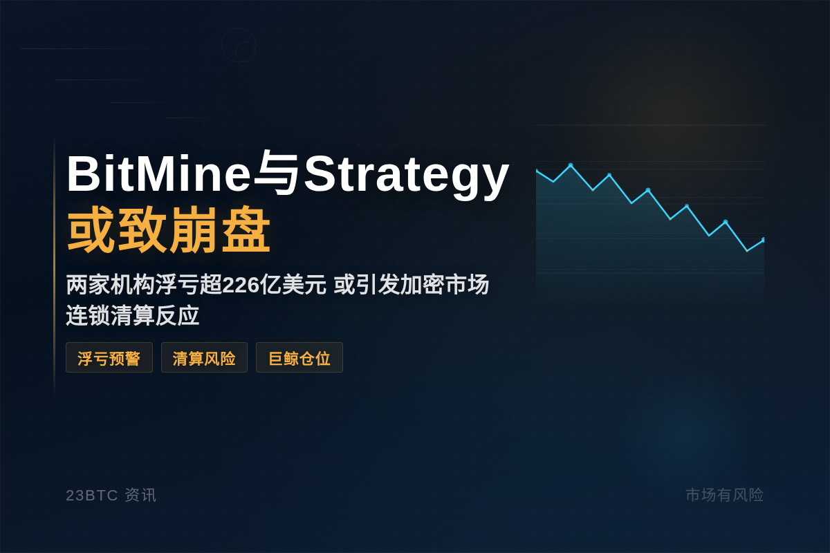 BitMine与Strategy或致崩盘插图1 BitMine与Strategy或致崩盘