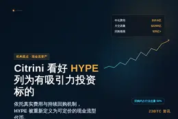 Citrini称HYPE为有吸引力投资标的