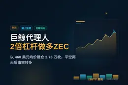 BTC巨鲸代理人做多ZEC，均价460美元
