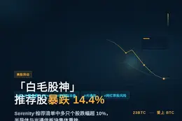 白毛股神重磅推荐股暴跌14.4%
