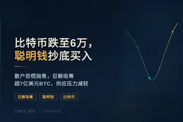 比特币跌至6万，聪明钱抄底买入