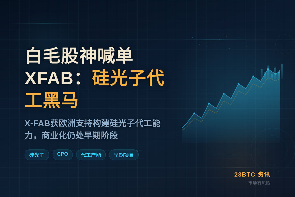白毛股神喊单XFAB:欧洲硅光子代工黑马,商业化仍早期插图1 白毛股神喊单XFAB:欧洲硅光子代工黑马,商业化仍早期