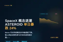 SpaceX吉祥物Meme币遇冷，ASTEROID单日暴跌2