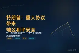特朗普：重大协议带来地区和平安全