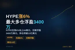 HYPE早间涨6%最大多仓浮盈3400万