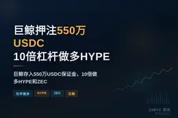 巨鲸押注550万USDC，10倍杠杆做多HYPE