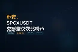 币安：SPCXUSDT交易量仅次比特币