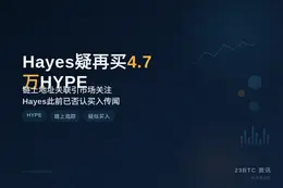 Hayes疑再买4.7万HYPE