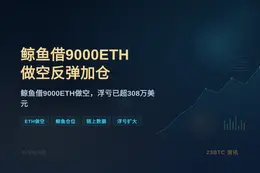 鲸鱼借9000ETH做空，反弹后继续加仓