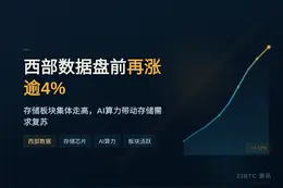 西部数据盘前再涨逾4%
