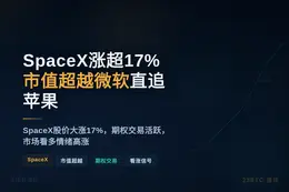 SpaceX涨超17% 市值超越微软直追苹果