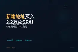 GMGN监测：某新建地址7小时前买入2.2万枚SPAI