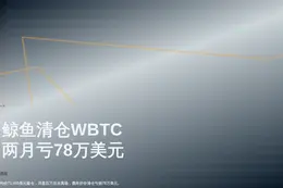 鲸鱼清仓WBTC，两月亏78万美元