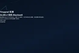 Tinygrad实测GLM5.2在双机Blackwell达1