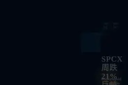 SPCX周跌21%，巨鲸空头占比71.7%