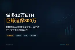 做多12万ETH巨鲸追保800万