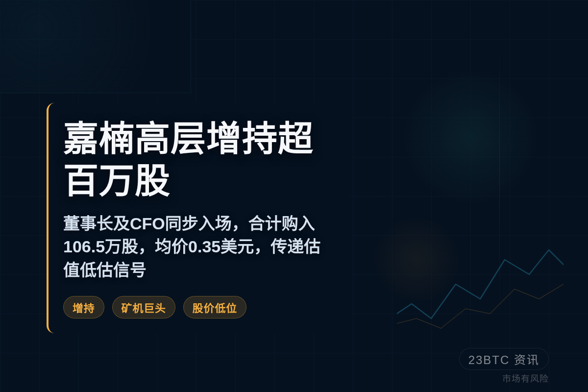 嘉楠高层增持超百万股