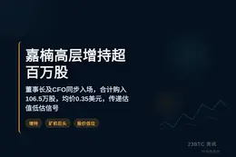 嘉楠高层增持超百万股