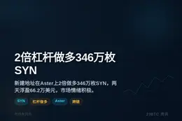 某地址2倍做多346万枚SYN