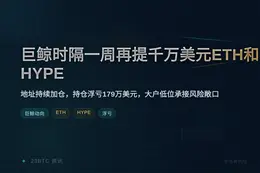 巨鲸时隔一周再提千万美元ETH和HYPE