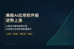 美股AI应用软件股逆势上涨