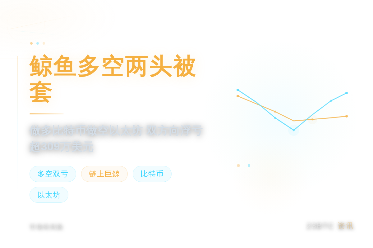 鲸鱼多空两头被套