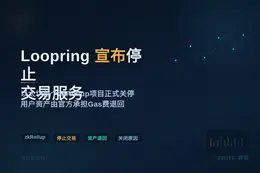Loopring 宣布即日起停止交易服务