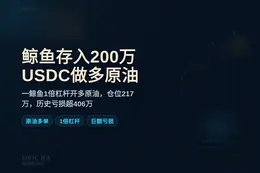 鲸鱼存入200万USDC做多原油