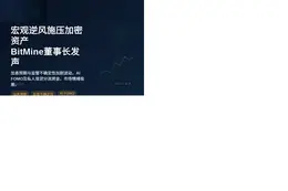 BitMine董事长：宏观逆风施压加密资产