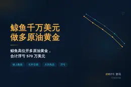 鲸鱼千万美元做多原油黄金