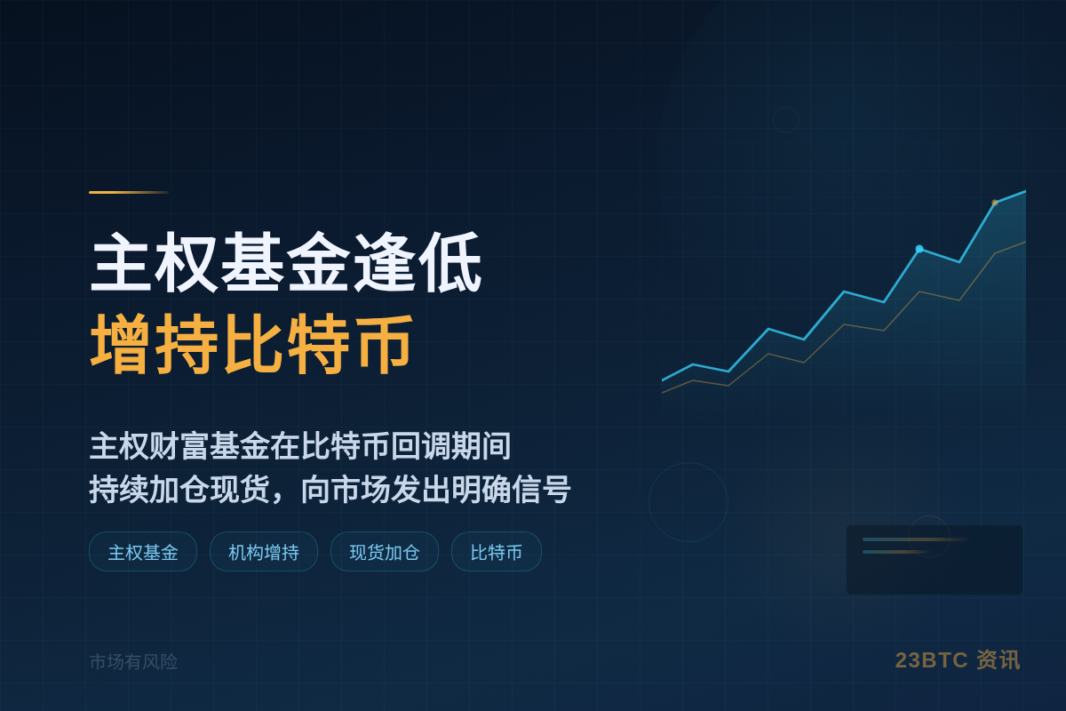 主权基金逢低增持比特币