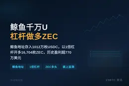 鲸鱼千万U杠杆做多ZEC