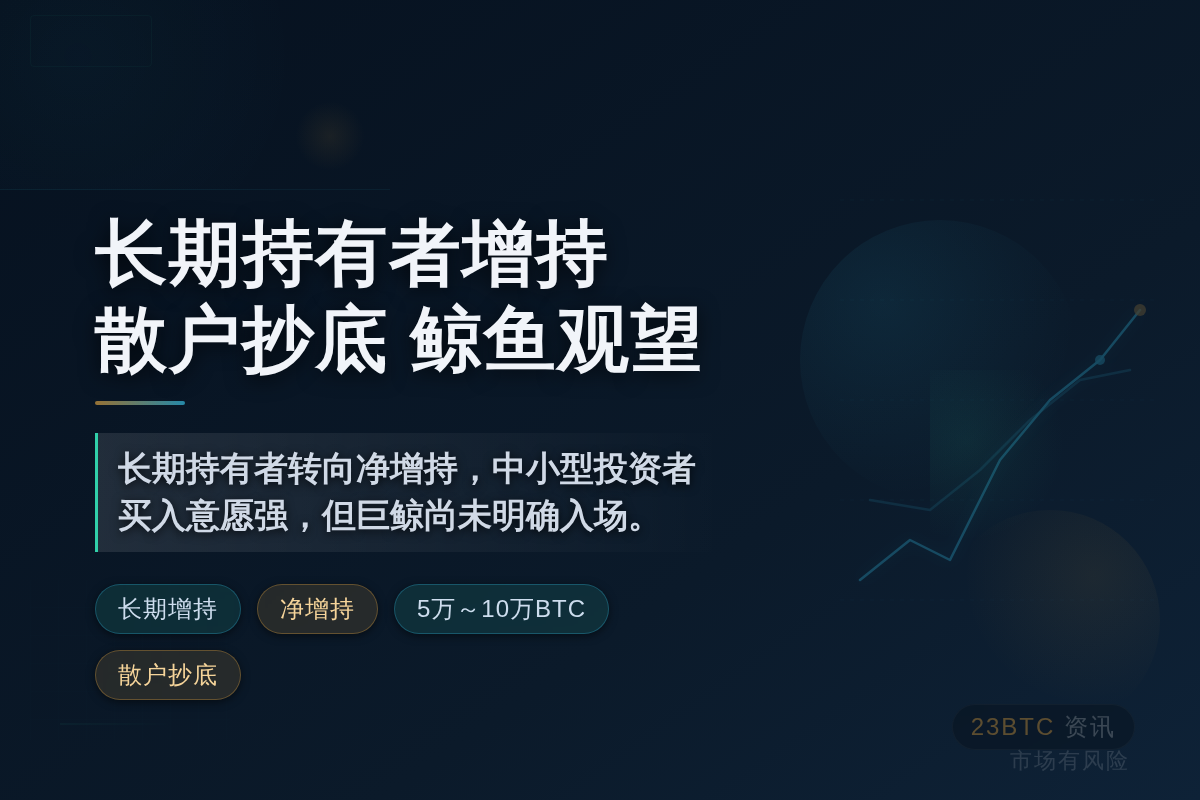 长期持有者增持，散户抄底，鲸鱼观望